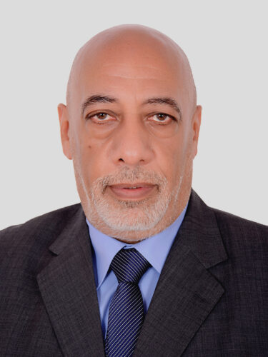 محمد عبدالله عاشور